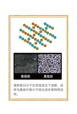 显微镜图片